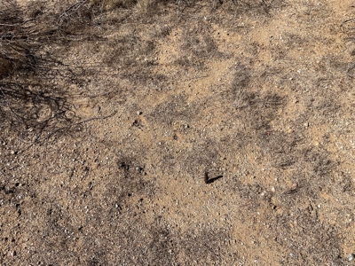 Yucca AZ Land with No HOA and close to BLM - image 6