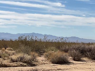 Yucca AZ Land with No HOA and close to BLM - image 3
