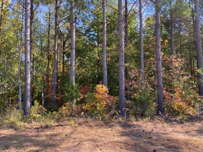 Land To Build On In Gated Community Near Pickwick Lake - image 10