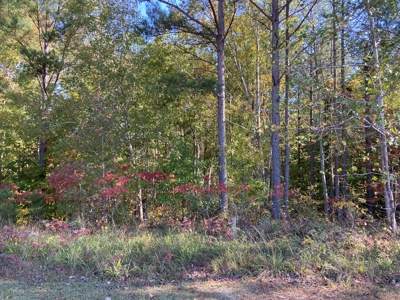 Land To Build On In Gated Community Near Pickwick Lake - image 9
