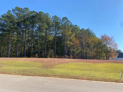 Land To Build On In Gated Community Near Pickwick Lake - image 7