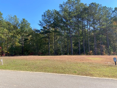 Land To Build On In Gated Community Near Pickwick Lake - image 8