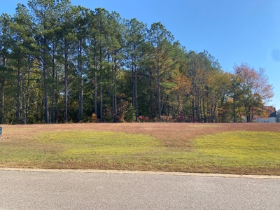 Land To Build On In Gated Community Near Pickwick Lake - image 1