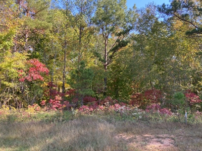 Land To Build On In Gated Community Near Pickwick Lake - image 10