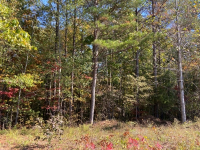 Land To Build On In Gated Community Near Pickwick Lake - image 9