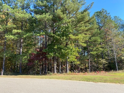 Land To Build On In Gated Community Near Pickwick Lake - image 8