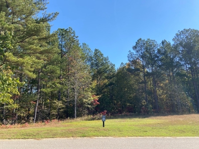 Land To Build On In Gated Community Near Pickwick Lake - image 1