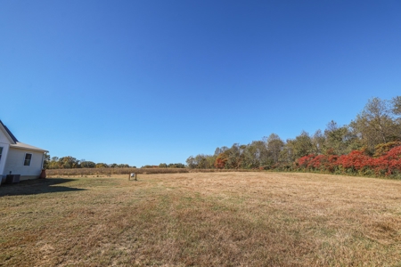 Stunning Amish-Built Home on 20 Private Acres in Springville - image 10