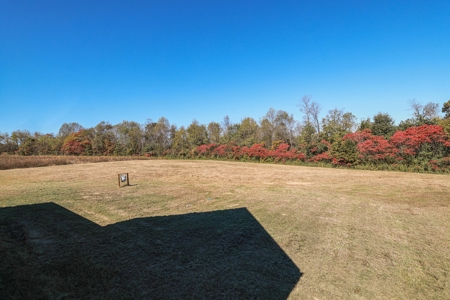 Stunning Amish-Built Home on 20 Private Acres in Springville - image 12