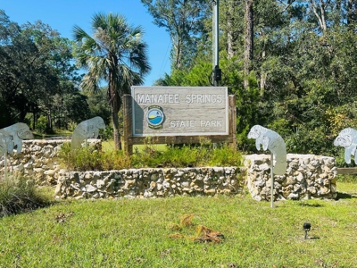 VACANT LAND FOR SALE, NEAR SUWANNEE RIVER - Chiefland, FL - image 4