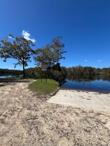 VACANT LAND FOR SALE, NEAR SUWANNEE RIVER - Chiefland, FL - image 5