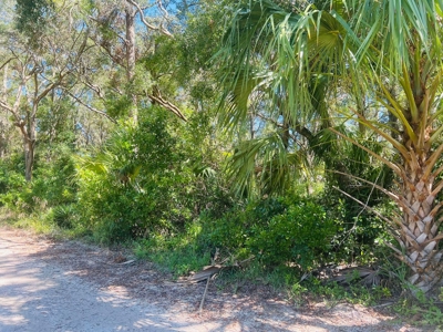 VACANT LAND FOR SALE, NEAR SUWANNEE RIVER - Chiefland, FL - image 1