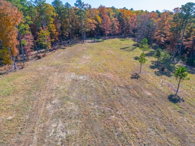 Home with Acreage for Sale in Licking, MO - image 9