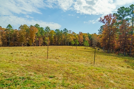 Home with Acreage for Sale in Licking, MO - image 37