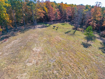 Home with Acreage for Sale in Licking, MO - image 12