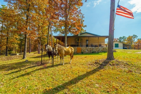 Home with Acreage for Sale in Licking, MO - image 38