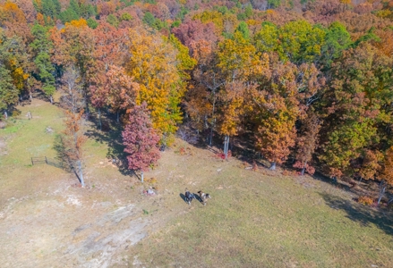 Home with Acreage for Sale in Licking, MO - image 14