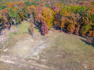 Home with Acreage for Sale in Licking, MO - image 13