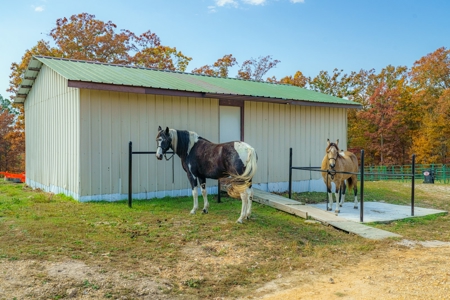 Home with Acreage for Sale in Licking, MO - image 39