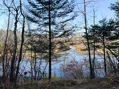 Timberland for Sale in Carthage, Maine - image 8