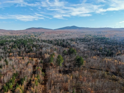 Timberland for Sale in Carthage, Maine - image 2