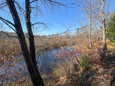 Timberland for Sale in Carthage, Maine - image 11