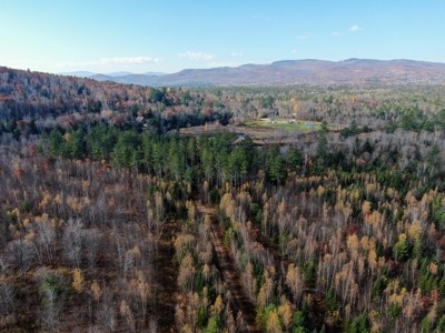 Timberland for Sale in Carthage, Maine - image 3