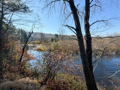 Timberland for Sale in Carthage, Maine - image 10