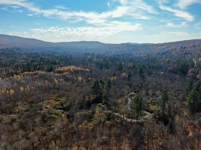 Timberland for Sale in Carthage, Maine - image 1