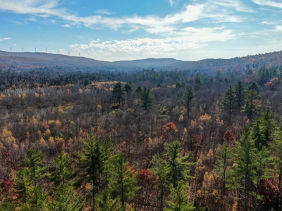 Timberland for Sale in Carthage, Maine - image 5