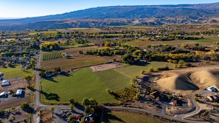 Eckert Colorado country home, horse property for sale - image 10