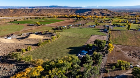 Eckert Colorado country home, horse property for sale - image 2