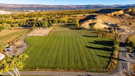 Eckert Colorado country home, horse property for sale - image 9