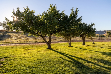 Eckert Colorado country home, horse property for sale - image 24