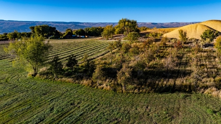 Eckert Colorado country home, horse property for sale - image 16