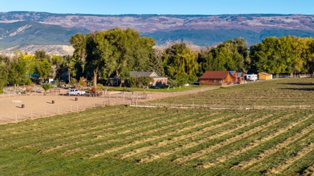 Eckert Colorado country home, horse property for sale - image 5