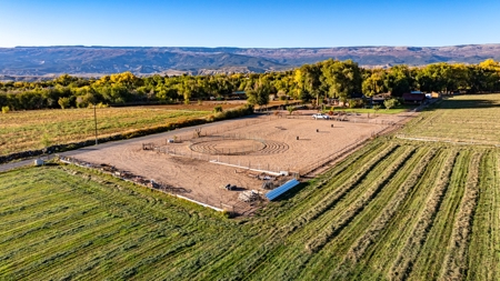 Eckert Colorado country home, horse property for sale - image 17