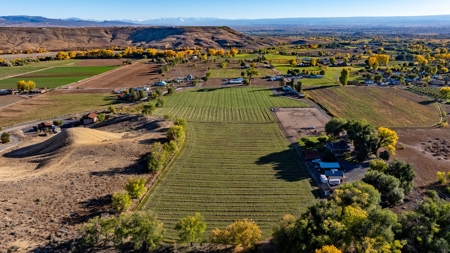 Eckert Colorado country home, horse property for sale - image 3