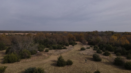 108 Acres m/l 11649 SW 140th St, Augusta KS 67010 - image 15