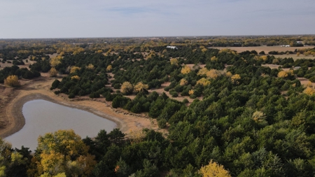 108 Acres m/l 11649 SW 140th St, Augusta KS 67010 - image 7