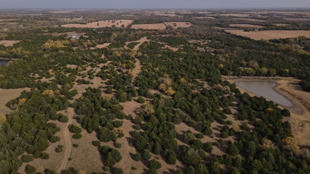 108 Acres m/l 11649 SW 140th St, Augusta KS 67010 - image 9