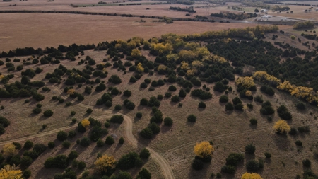 108 Acres m/l 11649 SW 140th St, Augusta KS 67010 - image 11