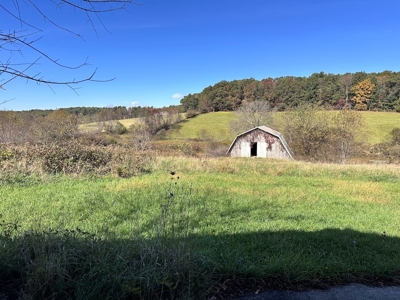 Investment Cottage for Sale in Dugspur VA - image 34
