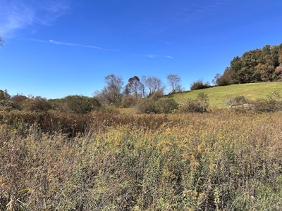 Investment Cottage for Sale in Dugspur VA - image 40