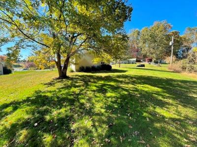 Single Level Home For Sale In Max Meadows VA - image 31