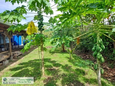 Newly Built Waterfront Home with Titled Land, Bocas del Toro - image 44