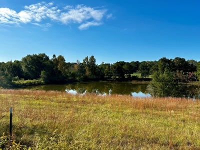 Land for sale Samson, AL - image 38