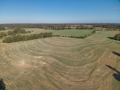 Land for sale Samson, AL - image 26