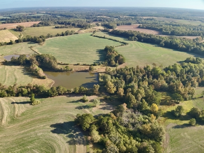 Land for sale Samson, AL - image 7