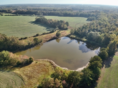 Land for sale Samson, AL - image 2